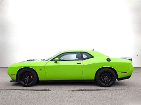 Dodge Challenger R/T Scat Pack Shaker V8 6.4L 392 HEMI 2019 - Automatique